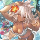 【グラブル】夏が来ると環境を完全に破壊した水着ゾーイのことを思い出す…