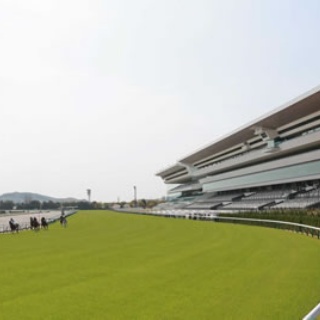 ☆うまなみ・競馬にゅーす速報