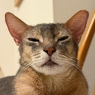 早寝派のぼくちんは、先にベッドに行く