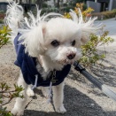 危ない花には近づかない