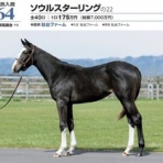 【一口馬主考(個人馬含む)】＆【国内外旅行記】