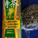 コンセーレ／結婚相談所Blogです。