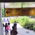 久しぶりの原宿〜東急プラザ原宿オモカドへ行ってきた