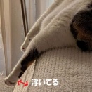 自由奔放な寝相
