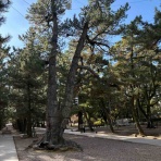 うるおいフルーティ再開