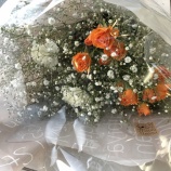 『生まれて初めて!』の画像