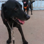 やっぱり大変！200年土蔵造り古民家リノベーション