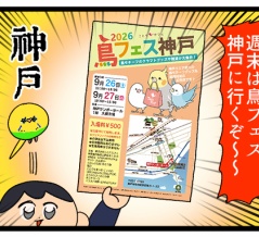 週末!! 鳥フェス神戸に行くぞ〜
