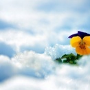 2/18 本日の結果＆オーバーナイトセクション