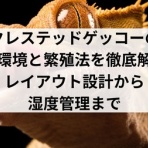 ハチュログ（爬虫ログ）