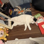 着物愛好会