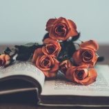 『母の後悔（１）』の画像