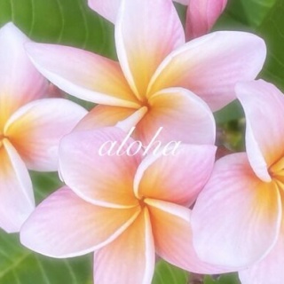 のほほん〜ハワイひとりごと♪