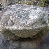 ���ФΥ��������ʪ�٤β���