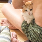 馬とニャンコと男と女
