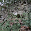 お不動さん（愛媛県今治市）