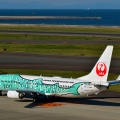 結ジンベイ