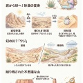 【図解】砂漠の景観