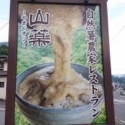 È¢º¬ ¼«Á³½òÇÀ²È¥ì¥¹¥È¥é¥ó »³Ìô µÜ¾ëÌîËÜŹ »ê¹â¤ÎÃ뤴ÈÓ