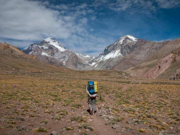 パーゴワークスのrush新しくなったけどそこまで大きい変化なさそうだね