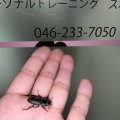 夏ですね　笑