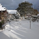 大外れ選挙と大当たり大雪