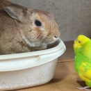 どのくらい通じてる？