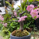 あっという間の休日