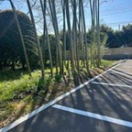 ニッキのＳｍａｒｔなＢｌｏｇ