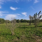 Peace Culture (Shanghai) Translation Co., Ltd. 和文（上海）翻訳有限公司