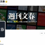 鳶の羽