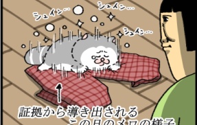 証拠が語っている
