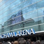 成城大学漕艇部