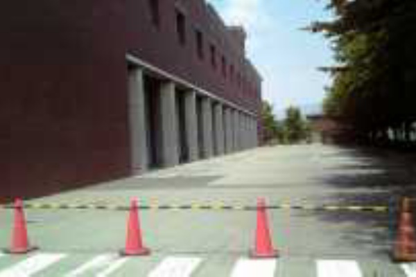 いつか また ここで ｂ ｚ Endless Summer 羽