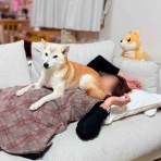 かぼすちゃんとおさんぽ。