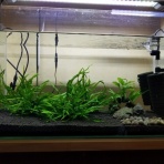 ぐりおのひとりごと