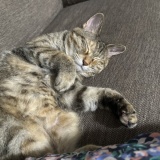 告知のみ日記♪