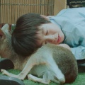 閉園後の動物園　夜更かしな動物たちが、みるみる眠りに落ちていく理由