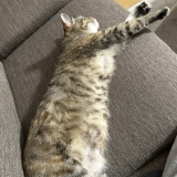 足を伸ばしていたならね