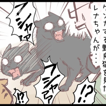 うちの飼い猫、ご乱心！？のまき