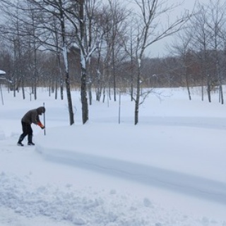 森の温泉～駒の湯温泉通信