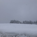 すっとこどすこい株投資