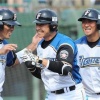 日ハム・二岡ってハムファンからやたら神格化されてたけど