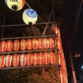 妻と散歩　アンティークショップ　断酒3634日目