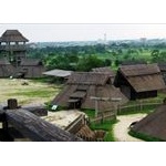 邪馬台国の人はカエルを食べた？「神への供え物にカエルが使われた」 	