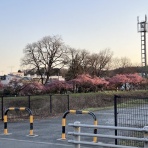 山遊び、川遊び−２