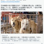 犬猫食禁止法、維新が成立に腐心　外国人に「日本なら犬猫が食べられる」との認識が広がる懸念