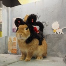 2月23日のグルーミングフォト