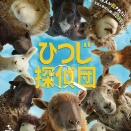 「ひつじ探偵団」ロケ地