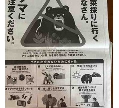 政府広報